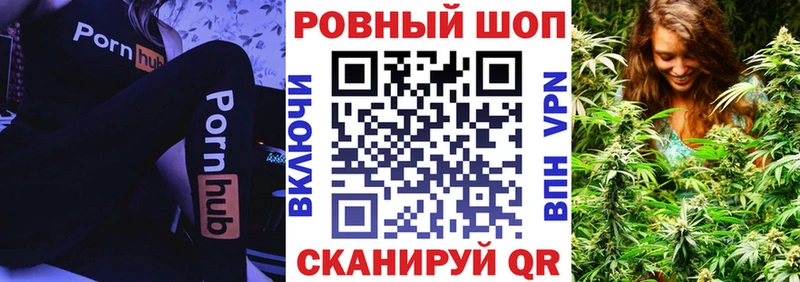 Где купить Краснознаменск Каннабис  MDMA  Галлюциногенные грибы  КОКАИН  ГАШИШ  Alpha-PVP 
