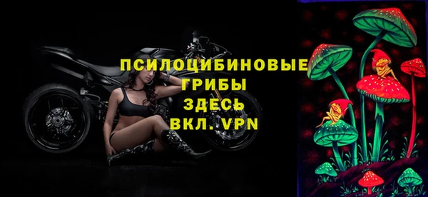 дживик Алзамай