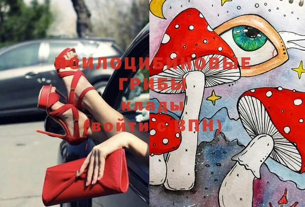 дживик Алзамай