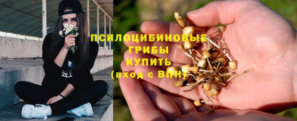 прущие крисы Алексин