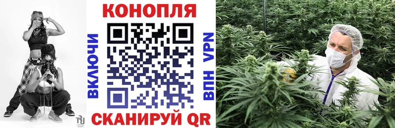 shop какой сайт  Краснознаменск  Бошки Шишки AK-47  хочу  